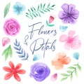 Hand drawn watercolor flowers collection. Watercolor flowers, petals and leaves