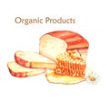 Hand-drawn watercolor food illustration of organic products: fresh bread and honey Royalty Free Stock Photo