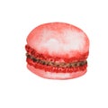 Hand drawn watercolor french red macaron cakes, white french pastry dessert. Isolated on white background colorful