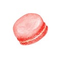 Hand drawn watercolor french red macaron cakes, white french pastry dessert. Isolated on white background colorful