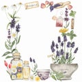 Hand drawn watercolor herbal elements illustration: herbs lavender, lemon, mint, tea leaves, roses petal, daisy, dandelion frame.