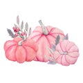 Hand drawn watercolor illsutration of fall autumn pastel soft pink pumpkins with grey leaves and flowers. Baby shower