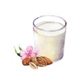 Hand-drawn watercolor illustration of the almond and glass of almond milk.