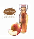 Hand-drawn watercolor illustration of apple cider vinegar isolated on the white background Royalty Free Stock Photo