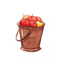 Illustration of autumn apples in tin bucket Royalty Free Stock Photo