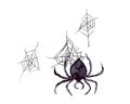 Hand-drawn watercolor illustration. A black spider is descending its web upside down. The attribute of the celebration of