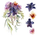 Hand drawn watercolor illustration boho botanical flowers leaves. Dark lily clivia amaryllis, pansy viola, willow