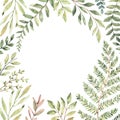 Hand drawn watercolor illustration. Botanical frame with eucalyptus, branches, fern and leaves. Greenery. Floral Design elements. Royalty Free Stock Photo