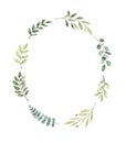 Hand drawn watercolor illustration. Botanical greenery wreath with branches and leaves. Eucalyptus. Floral Design elements. Royalty Free Stock Photo