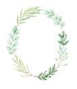 Hand drawn watercolor illustration. Botanical wreath with eucalyptus, branches and leaves. Greenery. Floral spring Design elements Royalty Free Stock Photo