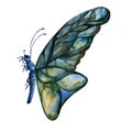 Hand drawn watercolor illustration butterfly fairy wings gem crystal insect moth. Sapphire emerald labradorite larimar