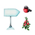 Bullfinch bird, cowberry and blank road sign post Royalty Free Stock Photo