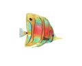 Hand drawn watercolor illustration of colorful bright tropical fish isolated Royalty Free Stock Photo