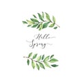 Hand drawn watercolor illustration. Composition with botanical spring leaves. Greenery. Floral Design elements. Perfect for