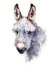 Cute Donkey hand painted watercolor illustration isolated on white background Royalty Free Stock Photo