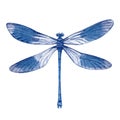 Hand drawn watercolor illustration of dragonfly isolated on white background. Beautiful insect watercolor drawing.