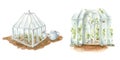 Hand drawn watercolor illustration, eanglish-style garden glass greenhouse with watering can. Village gardering composition