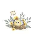 Hand-drawn watercolor illustration with easter chicken, nest, eggs and flowers Royalty Free Stock Photo