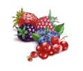 Hand drawn watercolor illustration of the food: ripe tasty red currant, blueberry, blackberry, strawberry and raspberry
