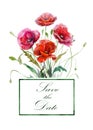 Hand drawn watercolor illustration. Four red poppies flowers bouquet and label with text.