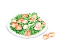 Hand drawn watercolor illustration of fresh tasty Caesar Salad on the plate with romaine lettuce, chicken, Parmesan cheese