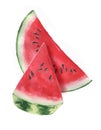 Hand-drawn watercolor illustration of fresh watermelon slice isolated on the white background. Royalty Free Stock Photo