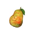 Hand drawn watercolor illustration with funny pear.