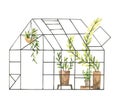 Hand drawn watercolor illustration - Greenhouse with plants, greenery, leaves and pots. Grow and plant. Eco, Farm, Nature. Perfect