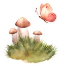 Hand drawn watercolor illustration of porcini cep edible boletus mushroom in grass with butterfly. Forest wood woodland esign.