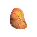 Hand drawn watercolor illustration precious semiprecious jewel gem crystal chakra birth stone. Amber agate sunstone