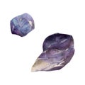 Hand drawn watercolor illustration precious semiprecious jewel gem crystal chakra birth stone. Amethyst fluorite purple