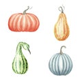 Hand drawn watercolor illustration. Set with ripe orange, yellow, green pumpkins. Atumn harvest, watercolor sketch Royalty Free Stock Photo