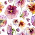 Hand drawn watercolor illustration shabby boho botanical flowers leaves. Colorful pansy viola impatiens panola, Seamless