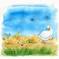 Hand-drawn watercolor illustration of a white duck with cute funny yellow ducklings on the bright background