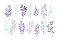 Hand drawn watercolor illustrations. Autumn Botanical clipart. S