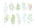 Hand drawn watercolor illustrations. Botanical clipart. Set of G Royalty Free Stock Photo