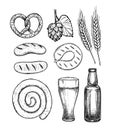 Hand drawn vector illustration - Craft beer malt, hop, beer gla