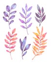 Hand drawn watercolor illustrations. Botanical clipart. Set Royalty Free Stock Photo