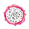 Hand drawn watercolor illustrations of dragon fruits pitaya slice isolated on white background. Pitahaya. Summer food Royalty Free Stock Photo