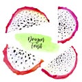 Hand drawn watercolor illustrations of dragon fruits pitaya slice isolated on white background. Pitahaya. Summer food Royalty Free Stock Photo