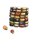 Hand-drawn watercolor image of a piece of corncob. Royalty Free Stock Photo