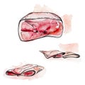 Hand drawn watercolor ink illustration. Ham prosciutto bacon jamon, cured meat product slice. Single object isolated on