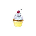 Hand drawn watercolor isolated cupcake with cherry Royalty Free Stock Photo