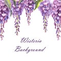 Hand-drawn watercolor isolated violet wisteria flowers