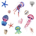 Hand Drawn watercolor jellyfish illustration set. Medusa and sea shells isolated on white background Royalty Free Stock Photo