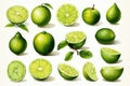 Watercolor lime fruit isolated on white. AI Generated