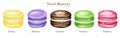 Hand drawn watercolor mix french macaron cakes set. Chocolate Pink Yellow Green Purple fruit Pastry dessert Isolated on