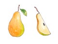 Hand drawn watercolor Natural ripe fruit - Pear