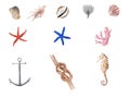 Hand Drawn watercolor nautical illustration set. Anchor, Knot, sea horse and sea shells isolated on white background