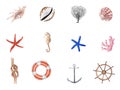 Hand Drawn watercolor nautical illustration set. Anchor, Knot, sea horse and sea shells isolated on white background